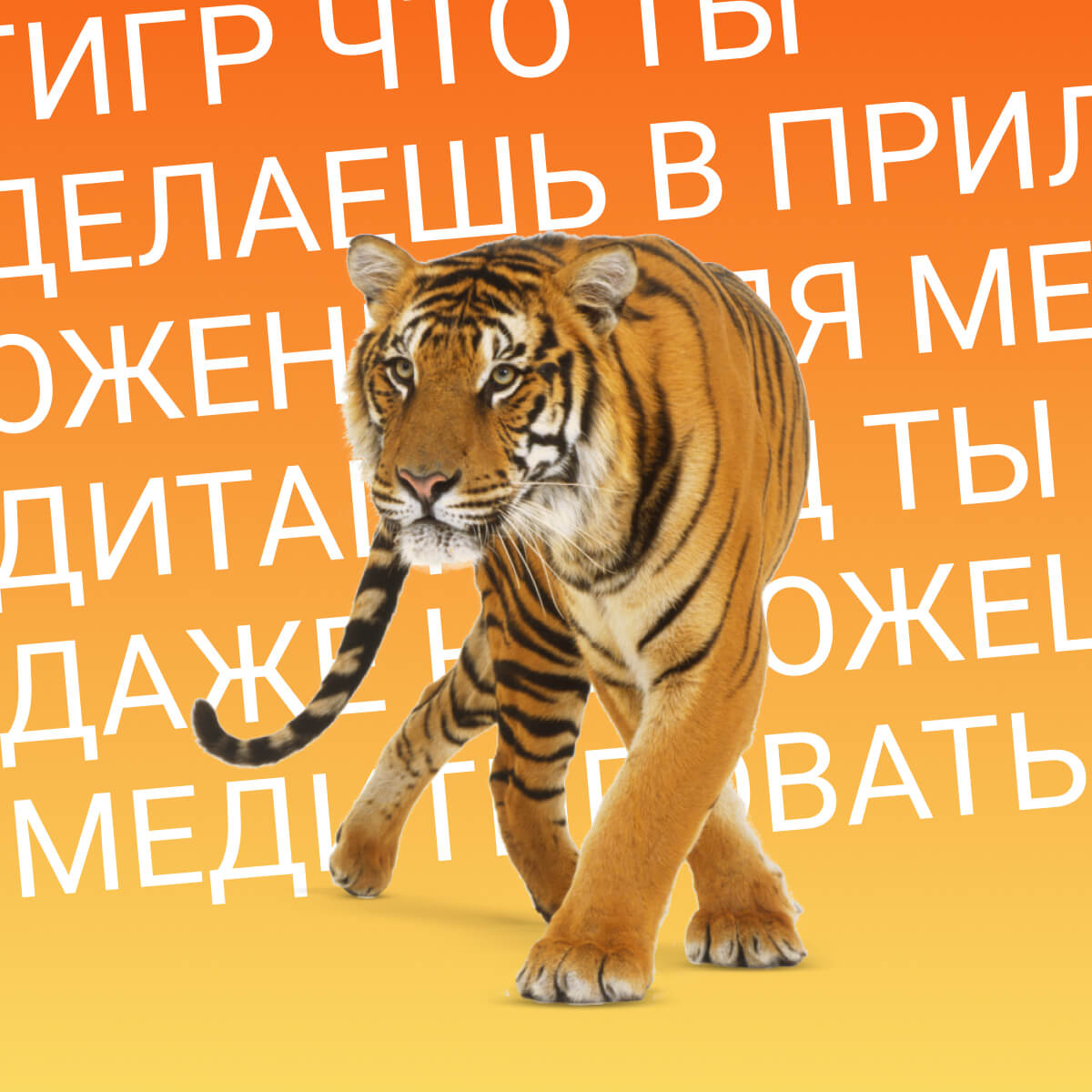 Как справиться со стрессом 🐯